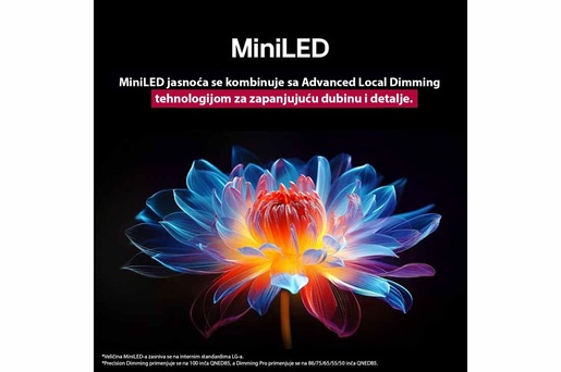 LG QNED MiniLED televizor 55QNED87A3B, 4K Ultra HD, Smart TV, webOS 25, Dolby Vision/HDR10/HLG, 120Hz, α8 AI procesor 4K Gen2, Local Dimming, Crni