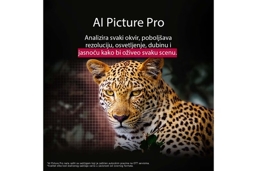 LG OLED evo televizor OLED48G53LS, 48" 4K Ultra HD, Smart TV 2025, webOS 25, Dolby Vision/HDR10/HLG, 144Hz VRR, α11 AI procesor 4K Gen2, Dolby Atmos, 40W, Crni