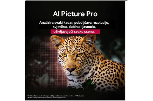 LG OLED evo televizor OLED42C51LA, 42" 4K Ultra HD, Smart TV 2025, webOS 25, Dolby Vision/HDR10/HLG, 144Hz VRR, α9 AI procesor 4K Gen8, Dolby Atmos, Crni