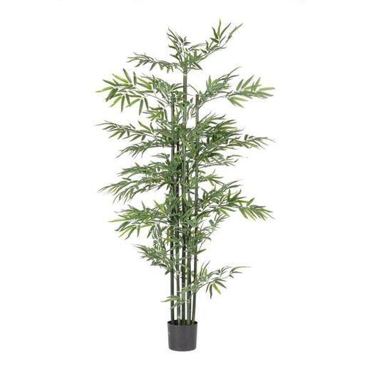 BIZZOTTO bambus 190cm u saksiji pvc