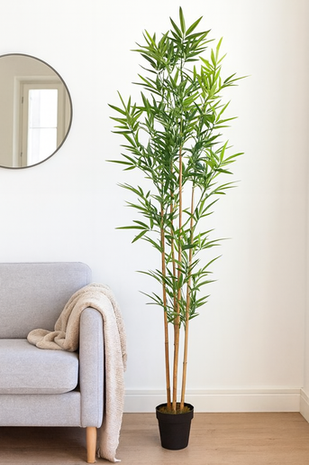 BIZZOTTO bambus 190cm u saksiji pvc