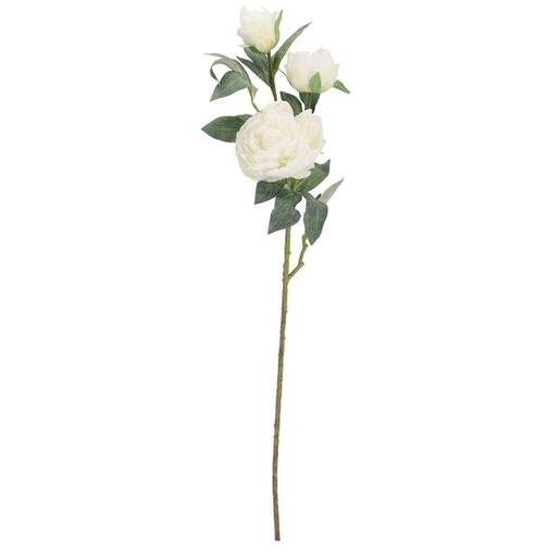 BIZZOTTO peonija 90cm pvc evalyn