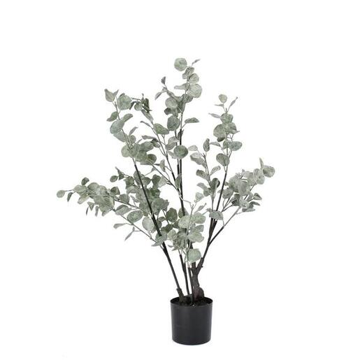 BIZZOTTO eukaliptus 82cm u saksiji pvc