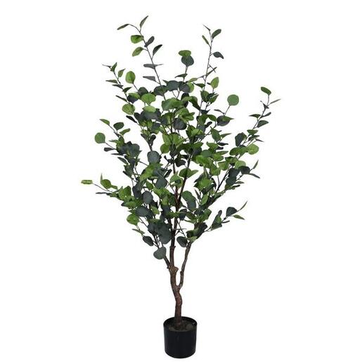 BIZZOTTO cvijeće eukaliptus 150cm u saksiji 0173042