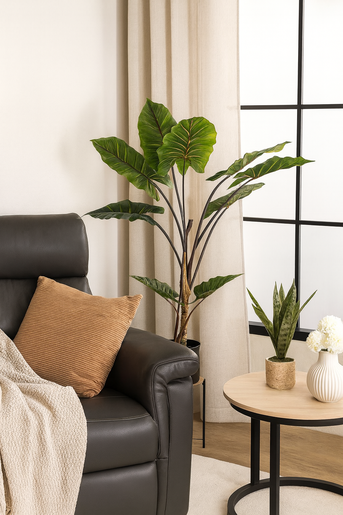 BIZZOTTO cvijeće difenbahija 134cm u saksiji 0172561