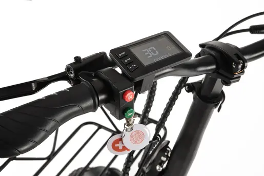 Alba električni bicikl  Fold F Standard