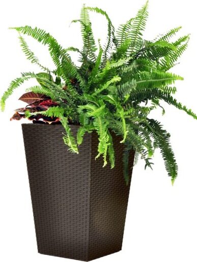 KETER Saksija smeda 38x38x57cm rattan