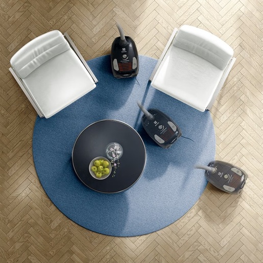 ELECTROLUX usisivač s vrećicom EPF63EB-S PowerForce, 800 W, 3.5 L