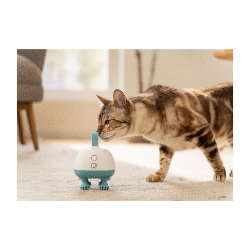 Beurer masažer za kućne ljubimce PP 410 Buddy