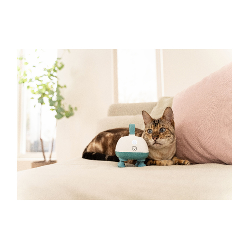 Beurer masažer za kućne ljubimce PP 410 Buddy