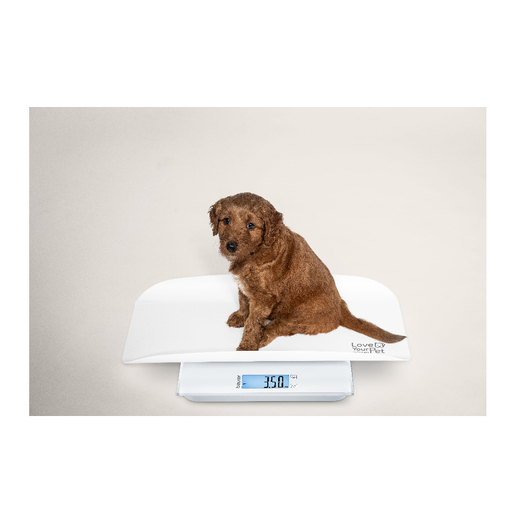 Beurer vaga za kućne ljubimce PP 170 Polly