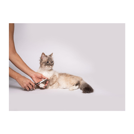 Beurer trimer za kućne ljubimce PP 110 Fluffy