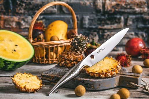 Samura kuhinjski nož 27,4 cm Reptile – profesionalni nož