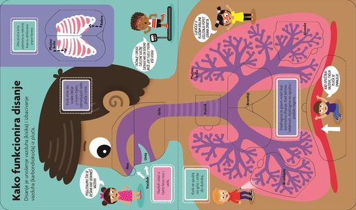 Želim znati – Otkrij ljudsko tijelo