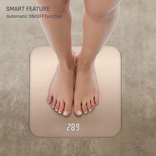 TEFAL tjelesna vaga PP1903V0 Classic, siva