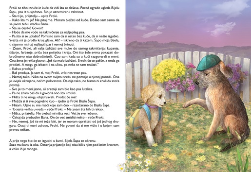 Priča o Bijeloj Šapi i Mačku Banu