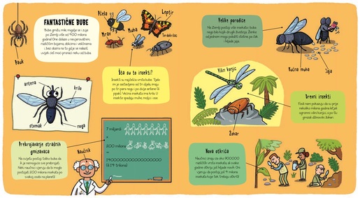 Mali istraživači - Bube