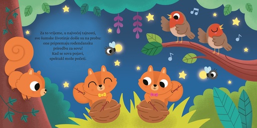 Moja knjiga s lampicama - Sretan rođendan