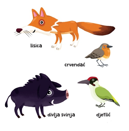 Gdje si ti? Ko si ti? - Šuma i šumske životinje