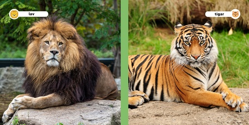 Moji prijatelji životinje - Divlje životinje