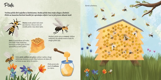 Otkrivam... sitne životinje