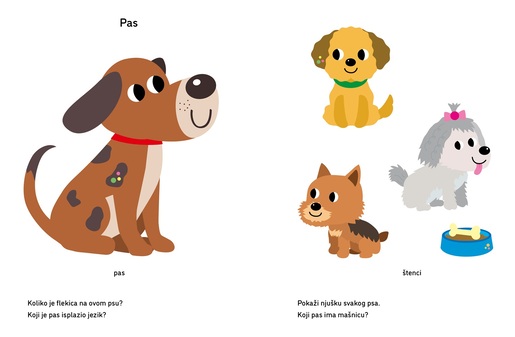 Korak po korak - Životinje 12+