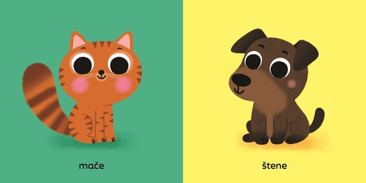 Razigrane oči - Bebe životinja - knjiga za djecu