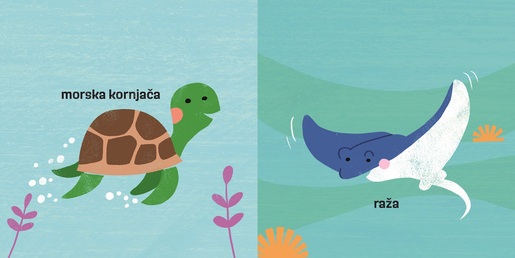 Bebina torbica - U vodi