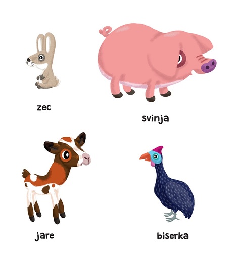 Gdje si ti? Ko si ti? - Selo i životinje na seoskom imanju