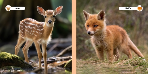 Moji prijatelji životinje - Bebe životinja