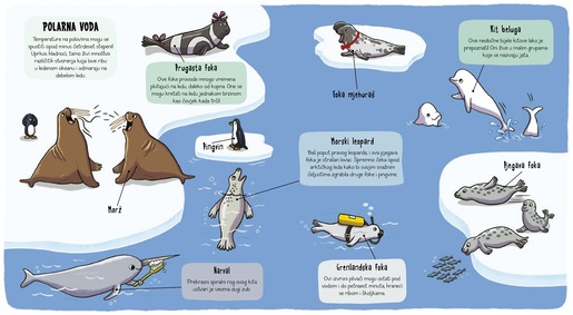 Mali istraživači - Podvodni svijet