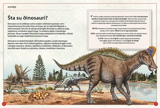 Nevjerovatna knjiga dinosaura - knjiga za djecu