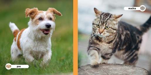 Moji prijatelji životinje - Kućni ljubimci