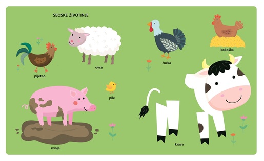 Dodirni i osjeti - Životinje