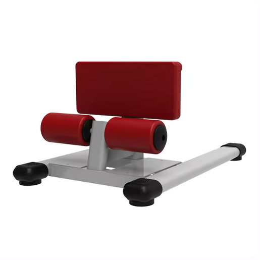 4Life Sissy Squat – sprava za kvadriceps