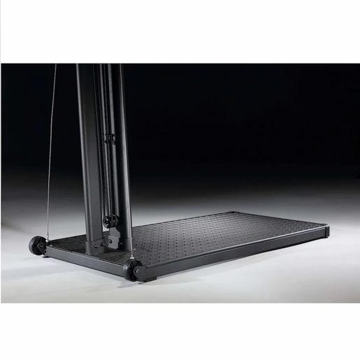 Renegade Air Mag M.W. ski ergometar, sprava za veslanje