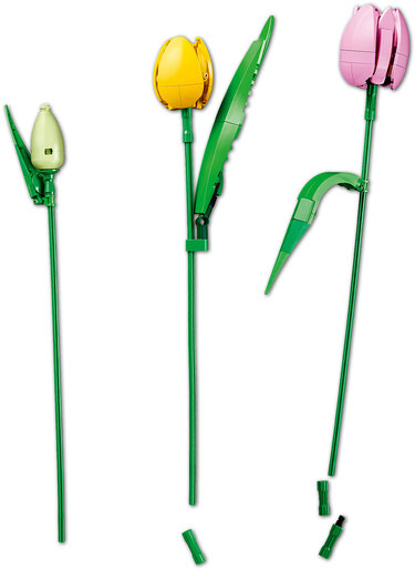 LEGO® Botanicals Buket tulipana 11501