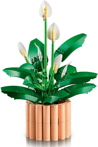 LEGO® Botanicals Mirni ljiljan 11504