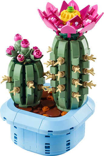LEGO® Botanicals Kaktus u cvatu 11509