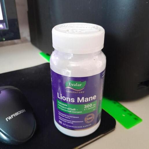 Evalar Lavlja griva – podrška kognitivnim funkcijama