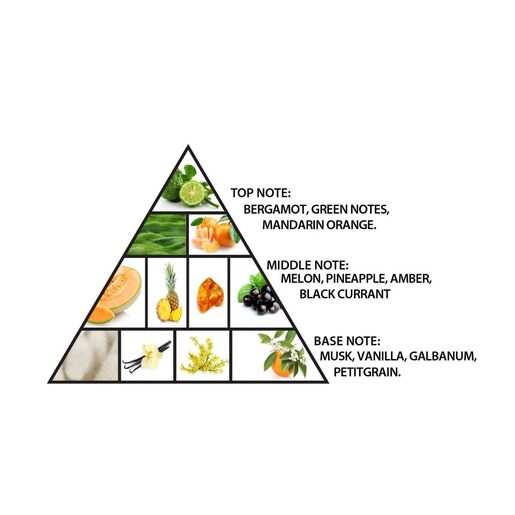 Al Haramain Amber Oud Aqua Dubai Extrait de Parfum 100 ml – unisex parfem