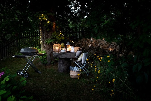 NAPOLEON prijenosni plinski roštilj TRAVELQ™ TQ285X