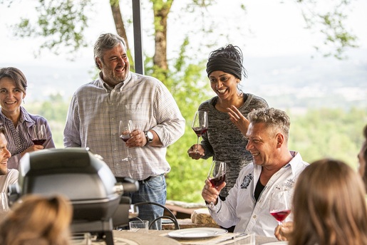 NAPOLEON prijenosni električni roštilj TRAVELQ™ PRO285E