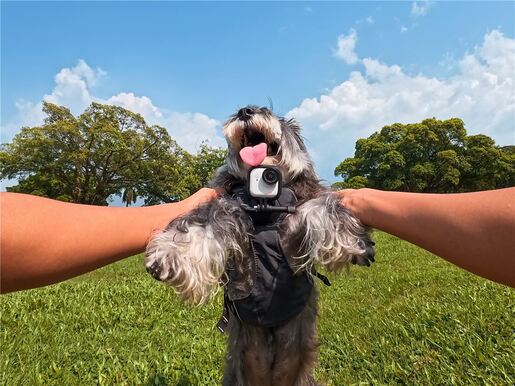 Insta360 GO Ultra Creator (Arctic Wh), akcijska kamera