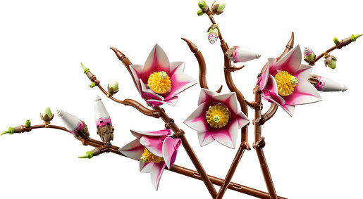 LEGO® Botanicals Grane magnolije 11510