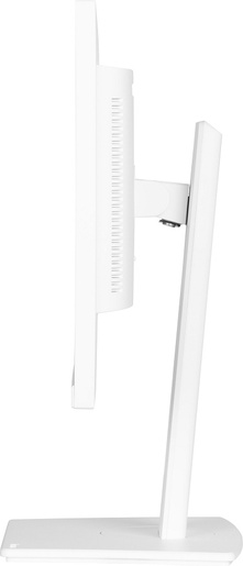 iiyama monitor XUB2497HSN-W2, 23.8" FHD IPS, 100Hz, 1ms, 300 nits, HDMI, 2x DP, USB-C 65W, USB Hub, RJ-45, zvučnici, Full Ergo, VESA