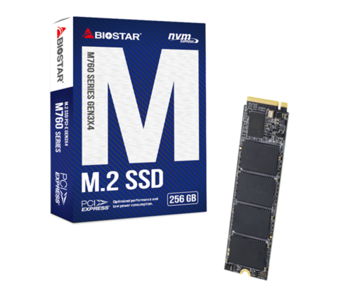 BIOSTAR 256GB SSD M.2, NVMe PCI-E Gen3x 4, 2280 M.2, R/W: 2800 MB/s 1150 MB/s