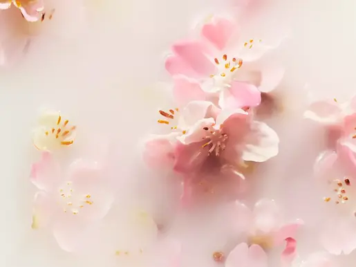 RITUALS The Ritual Of Sakura Poklon Set neseser – set za njegu tijela i kose