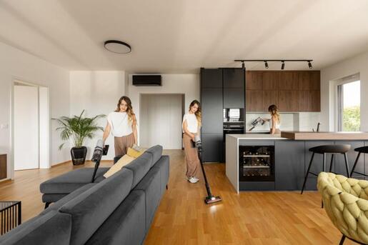 GORENJE štapni usisivač SVC259400NES, NEOESSEN