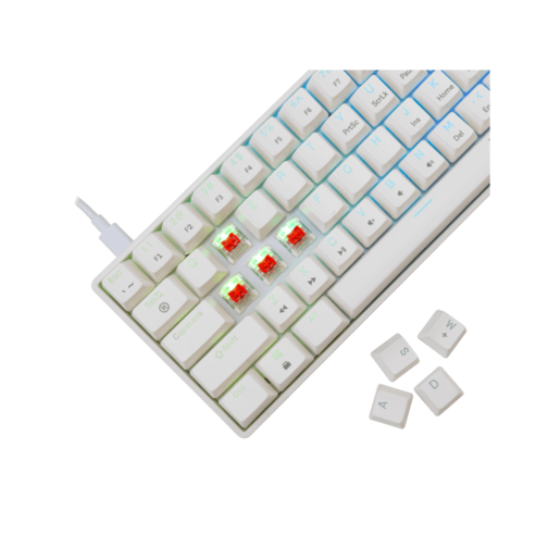 WHITE SHARK gaming tastatura GK-004212 SHINOBI-2 Bijela/HR - RED SWiTCH